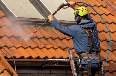 Démoussage et hydrofuge de toiture à la Forie